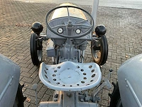 1949 massey ferguson te 20 oldtimer tractor - afbeelding 2 van  14