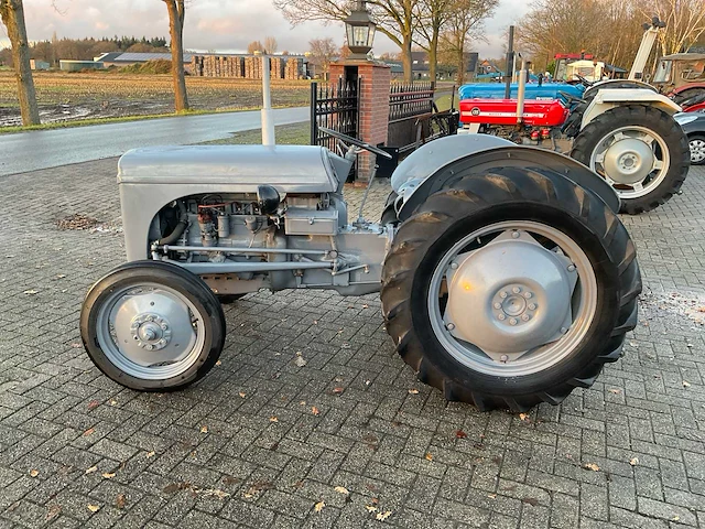1949 massey ferguson te 20 oldtimer tractor - afbeelding 13 van  14