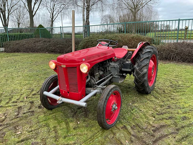 1952 massey ferguson tef 20 oldtimer tractor - afbeelding 1 van  27