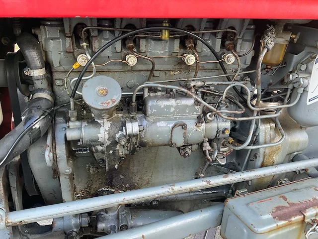 1959 massey ferguson 35 oldtimer tractor - afbeelding 2 van  31