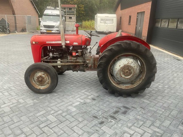 1962 massey ferguson 35 x oldtimer tractor - afbeelding 2 van  23