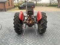 1962 massey ferguson 35 x oldtimer tractor - afbeelding 22 van  23