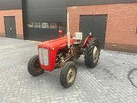 1962 massey ferguson 35 x oldtimer tractor - afbeelding 2 van  23