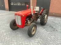 1962 massey ferguson 35 x oldtimer tractor - afbeelding 3 van  23