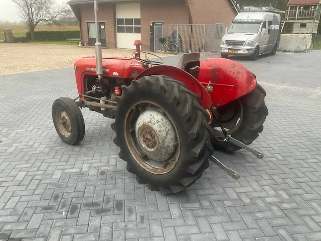 1962 massey ferguson 35 x oldtimer tractor - afbeelding 9 van  23