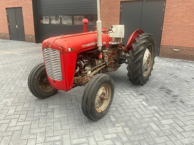 1962 massey ferguson 35 x oldtimer tractor - afbeelding 1 van  23