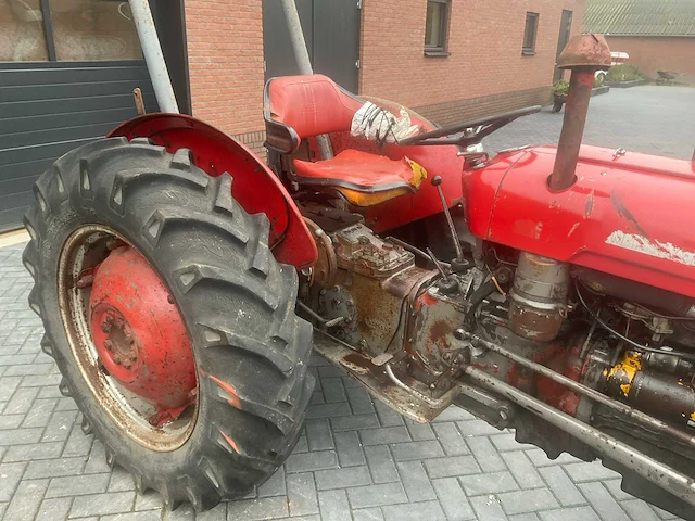 1964 massey ferguson 35 x oldtimer tractor - afbeelding 3 van  14