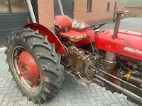 1964 massey ferguson 35 x oldtimer tractor - afbeelding 3 van  14