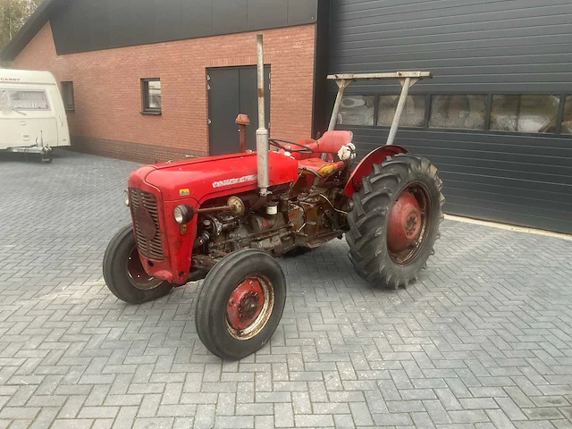1964 massey ferguson 35 x oldtimer tractor - afbeelding 1 van  14