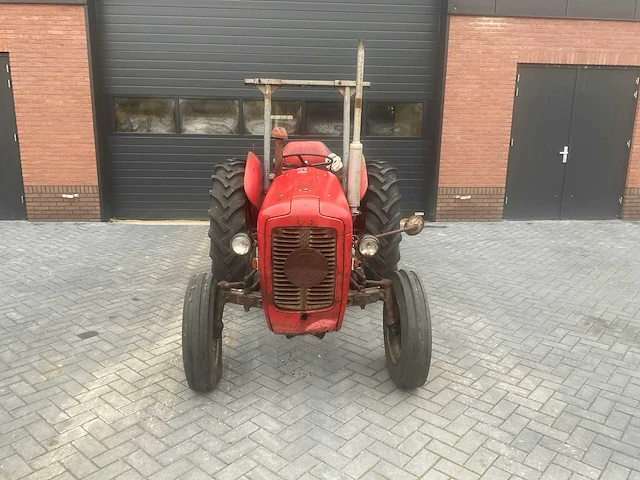 1964 massey ferguson 35 x oldtimer tractor - afbeelding 7 van  14
