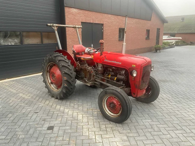 1964 massey ferguson 35 x oldtimer tractor - afbeelding 8 van  14