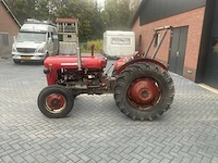 1964 massey ferguson 35 x oldtimer tractor - afbeelding 12 van  14