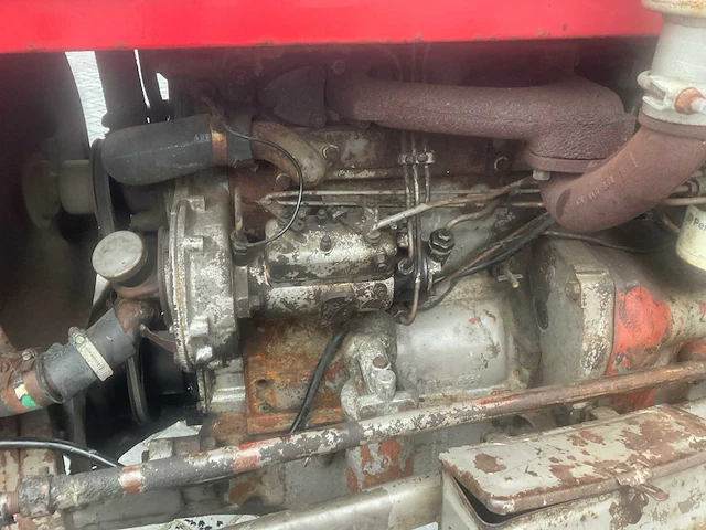 1964 massey ferguson 35 x oldtimer tractor - afbeelding 14 van  14