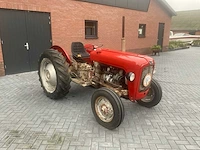 1969 massey ferguson 35 x oldtimer tractor - afbeelding 8 van  14