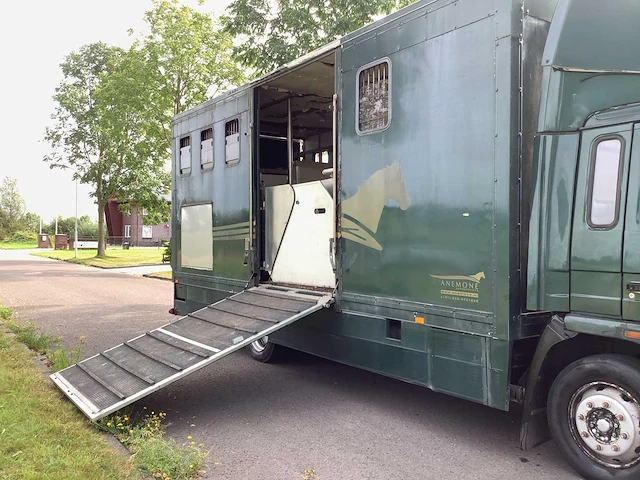 1992 volvo vrachtwagen/paardentruck - afbeelding 18 van  20