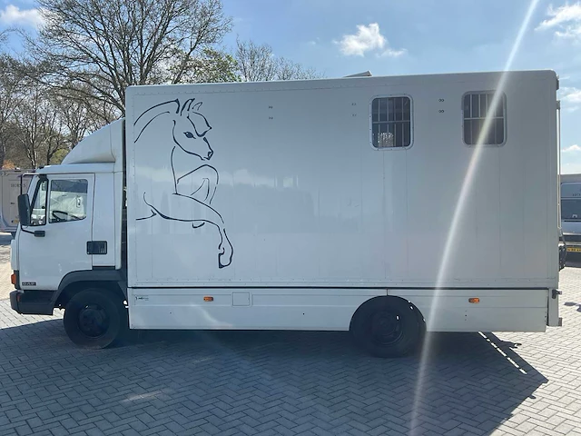 1995 daf 45 turbo 130 paardenvrachtwagen - afbeelding 19 van  24