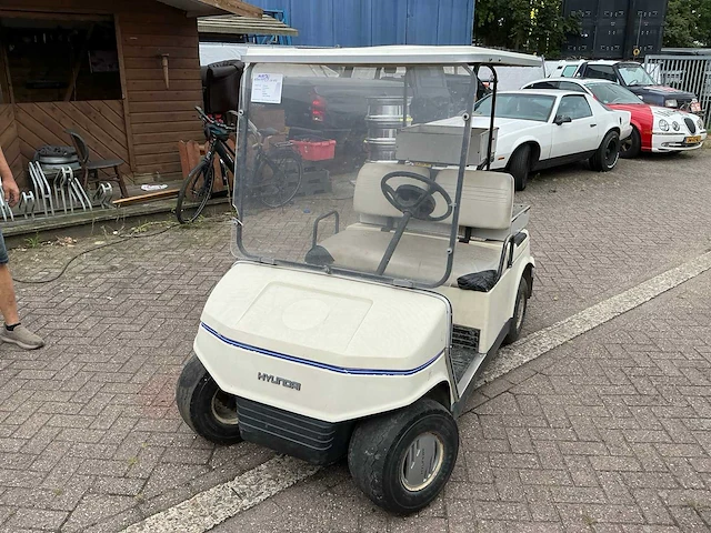 1996 hyundai hgg-1 golfkar - afbeelding 1 van  11
