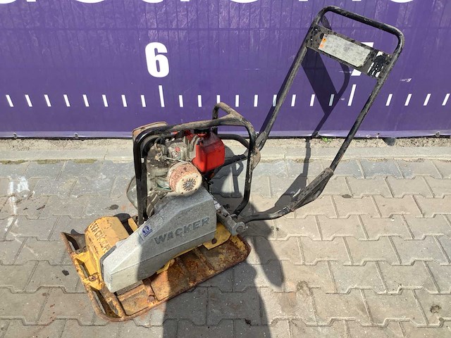 1996 wacker trilplaat - afbeelding 1 van  5