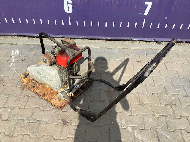 1996 wacker trilplaat - afbeelding 4 van  5