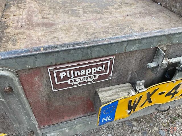 1999 pijnappel aanhangwagen - afbeelding 13 van  16