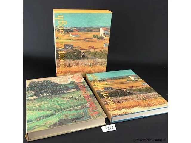 2 boeken vincent van gogh in cassette - afbeelding 1 van  5