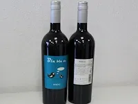2 flessen merlot bla bla bla. 75 cl. jaartal 2018. alc. 13,5%. vin de pays dóc languedoc frankrijk. 100% me...