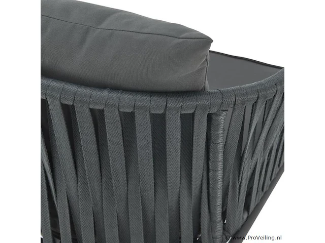 2 tuinstoelen met touwgaas - donkergrijs - incl. rug- en zitkussens - afbeelding 2 van  13