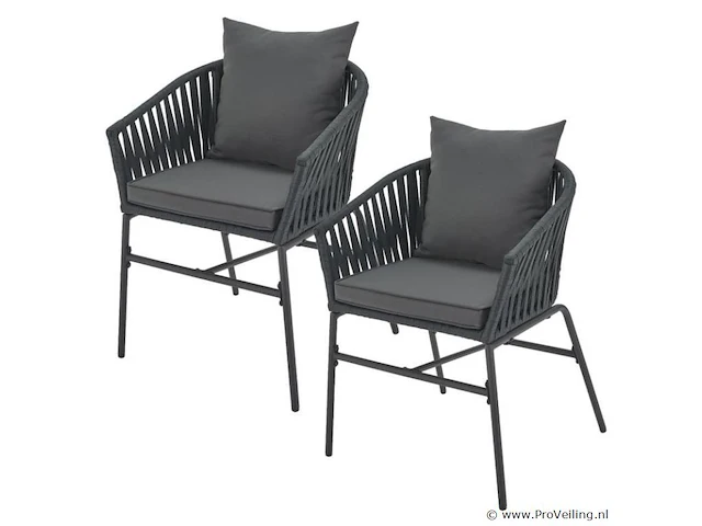 2 tuinstoelen met touwgaas - donkergrijs - incl. rug- en zitkussens - afbeelding 1 van  13