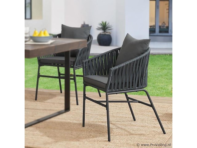 2 tuinstoelen met touwgaas - donkergrijs - incl. rug- en zitkussens - afbeelding 4 van  11