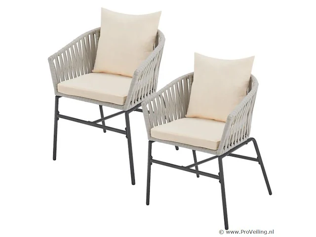 2 tuinstoelen met touwgaas - lichtgrijs - incl. rug- en zitkussens - afbeelding 1 van  13