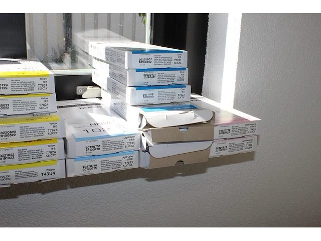 20 cartridges epson sl d700 in diverse kleuren nieuw. - afbeelding 3 van  3