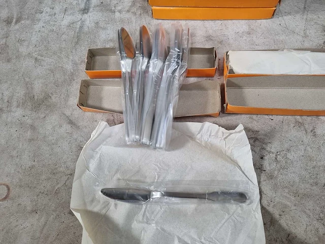 20 doosjes met 10 nieuwe rvs botermesjes - afbeelding 1 van  4