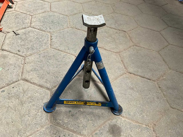 2000 assteun - afbeelding 1 van  4