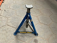 2000 assteun - afbeelding 1 van  4