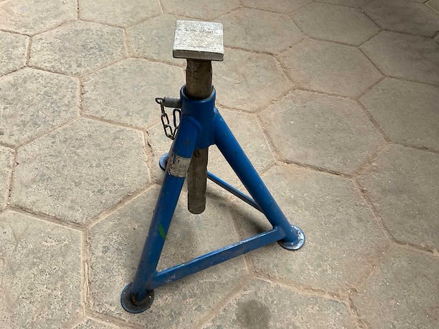 2000 assteun - afbeelding 2 van  4