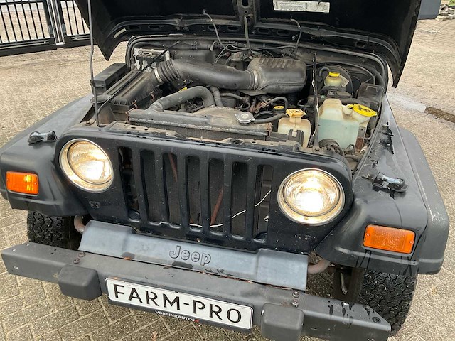 2001 wrangler jeep “4wd” cabrio - afbeelding 28 van  28