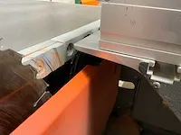 2002 altendorf wa8 formaatcirkelzaagmachine - afbeelding 10 van  21