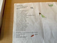 2002 evers ekb 353 visverkoop schamel aanhangwagen - afbeelding 35 van  40