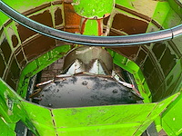 2003 bergmann ps 8100 afvalpers - afbeelding 6 van  10