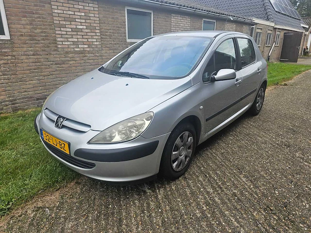 2003 peugeot 307 - 1.6-16v xs - afbeelding 1 van  23