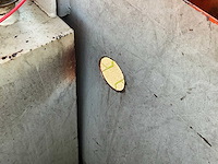 2003 steenbergen cie100 brandstof opslagtank - afbeelding 6 van  15