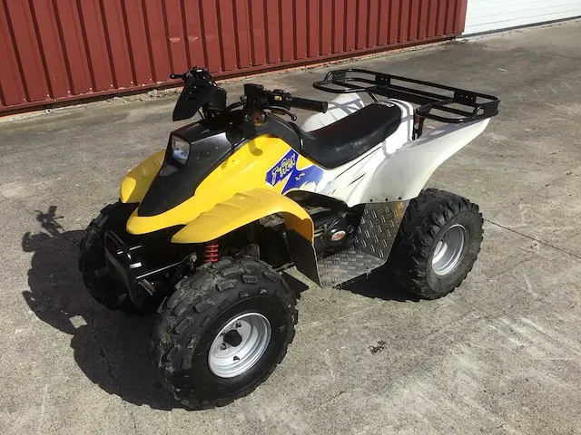 2004 dinli t-rex 50cc quad - afbeelding 1 van  24