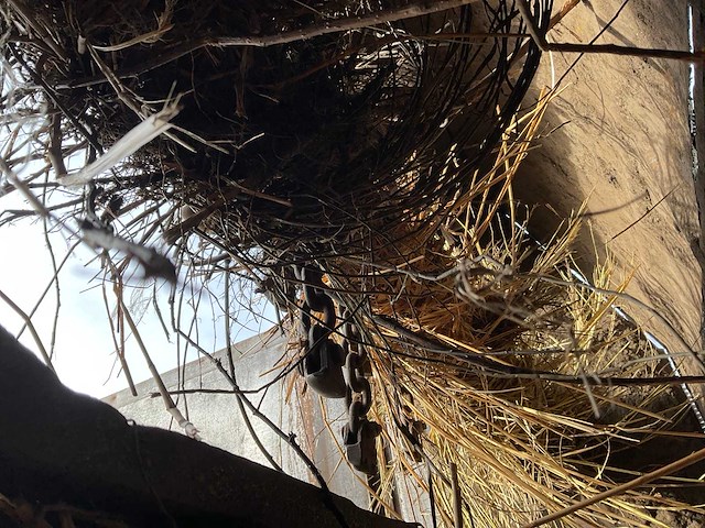 2005 tebbe hs 2 compoststrooier - afbeelding 22 van  36