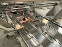 2006 schib packaging spa co50 horizontale flowpacker - afbeelding 8 van  22
