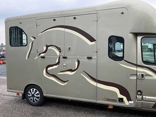 2007 renault master 2.5 dci paardenwagen v-23-lkn - afbeelding 5 van  37