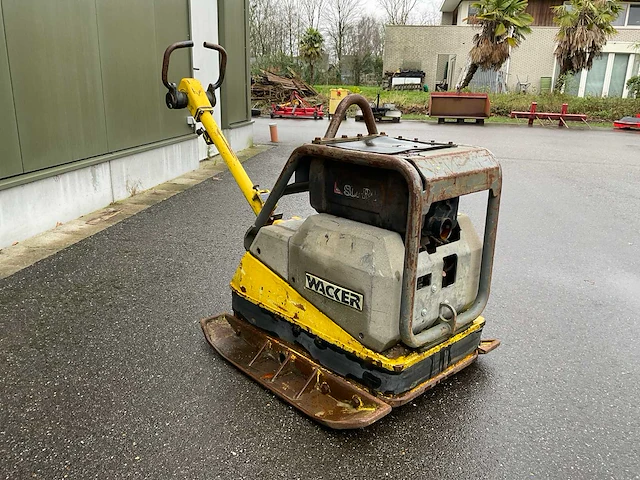 2008 wacker dpu 6055 trilplaat - afbeelding 3 van  8