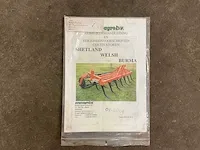 2009 evers burma kj-11 cultivator - afbeelding 4 van  4