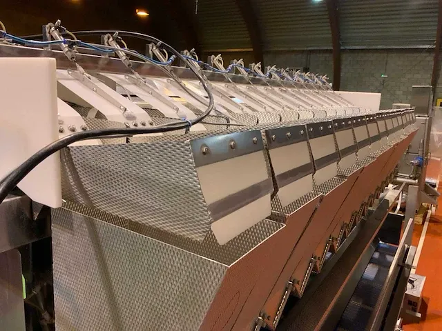 2009 newtec 2014pcb-2brf multihead weegmachine - afbeelding 29 van  29