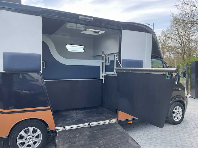 2009 renault / theault master paardenvrachtwagen met opbouw - afbeelding 4 van  26