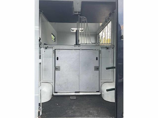 2009 renault / theault master paardenvrachtwagen met opbouw - afbeelding 6 van  26